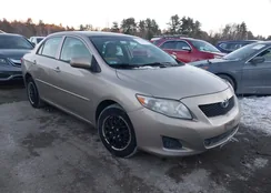 2T1BU4EE9AC335032: 44162420