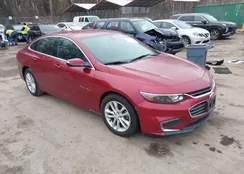 1G1ZE5ST9HF251100: 44162453