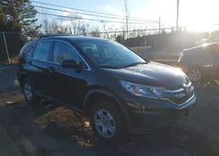 5J6RM4H37GL104151: 44163459