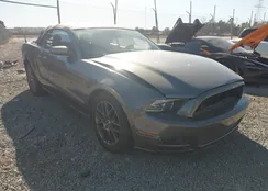 1ZVBP8EM6D5227942: 44163548