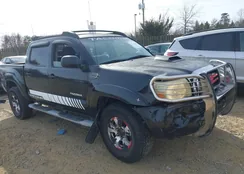 5TELU42N55Z041572: 44163777