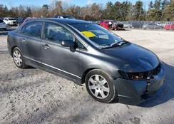 2HGFA1F56BH309794: 44163991