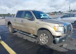 1FTFW1CF4BFB68707: 44163178