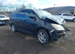 5FNRL38876B081499: 44163233