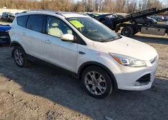 1FMCU9J90GUC72520: 44164390