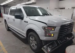 1FTEW1CGXGKD17821: 44165660