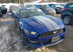 1FA6P8AM6G5325700: 44165946