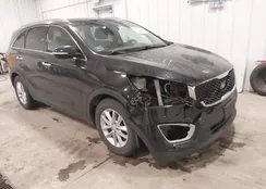 5XYPG4A58HG225087: 44165211