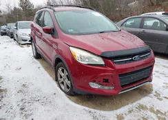 1FMCU0GX1DUD21687: 44165289