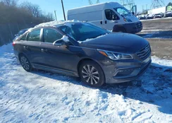 5NPE34AF1HH539152: 44165319