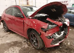 ZASPAKBN9N7D49406: 44166735