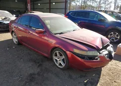 19UUA66246A001909: 44166738