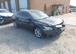 1N4AA5AP6DC805893: 44166962