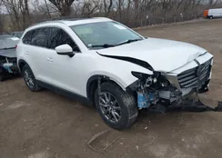 JM3TCBCY4K0315914: 44166976