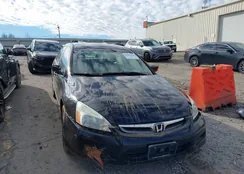 1HGCM56376A033145: 44167016