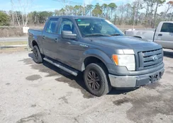 1FTEW1E83AFC46001: 44166353