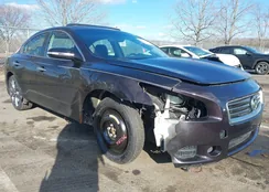 1N4AA5AP8EC489110: 44167881