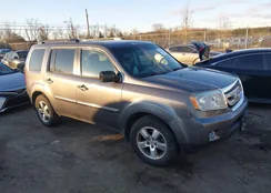 5FNYF4H69BB020690: 44167135