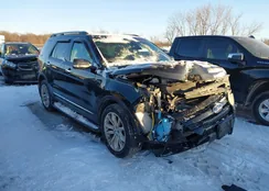 1FM5K8F87DGA20721: 44167282