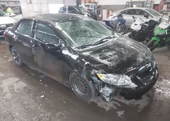 2T1BU4EEXAC520867: 44167410