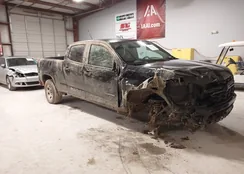 1GCGSCEN7N1135105: 44168623