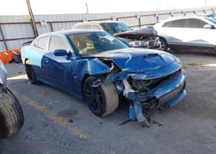 2C3CDXGJ6MH592664: 44168046