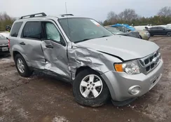 1FMCU9DG6BKA61028: 44169528