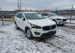 5XYPGDA53HG197246: 44169566