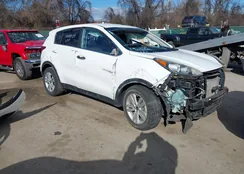 KNDPM3AC0H7039557: 44169589