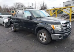 1FTFW1EF6DKF81168: 44169841