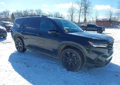 5FNYG1H98SB040449: 44169967