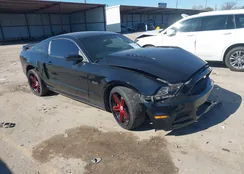 1ZVBP8CF2E5219312: 44170768