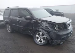 5FNYF4H5XCB028449: 44170413