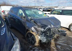 2T3RFREV5JW800658: 44171476