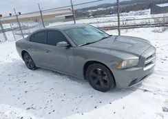 2C3CDXBGXCH218021: 44171507