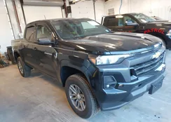 1GCGSCEC7R1283176: 44172036