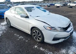 1HGCT1B36GA008417: 44171082