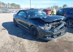 1FATP8UH6G5307537: 44172656