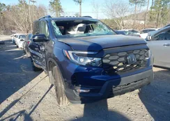 5FNYF8H05PB007557: 44172969