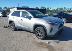 JTMB6RFV8PD083629: 44173441