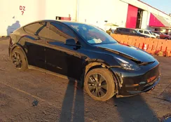 7SAYGDED6RF152206: 44173598