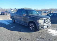 1FTFW1CVXAKB24823: 44173900