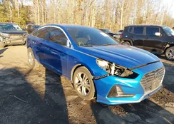 5NPE34AF7JH607900: 44173919