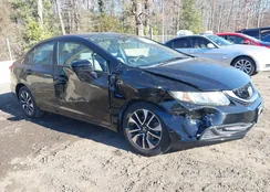 19XFB2F83FE229429: 44173992