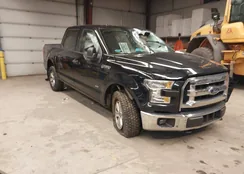 1FTEW1EP7GFB55846: 44173330