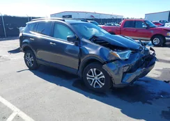 JTMZFREV5HJ146317: 44174778