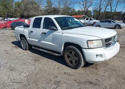 1D7HE48K98S507325: 44175028