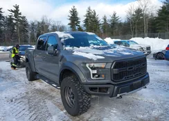 1FTFW1RG4JFC37135: 44174154