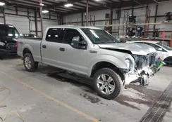 1FTFW1E54KFB96690: 44175348