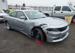 2C3CDXHG2HH549495: 44175387